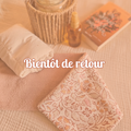 Bouillotte aux graines de lin