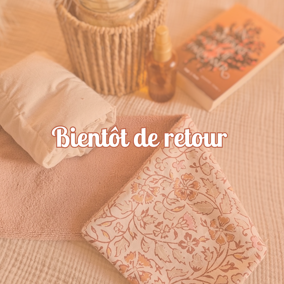 Bouillotte aux graines de lin