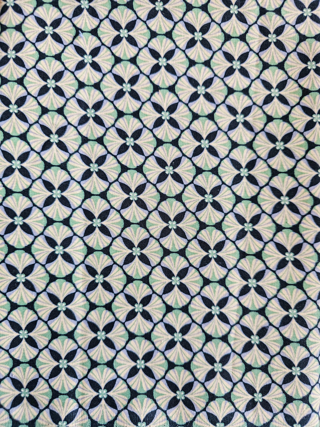 Bouillotte longue graines de lin